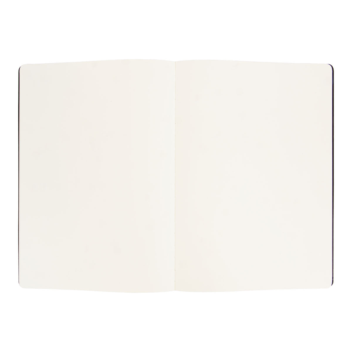 Moleskine A4 Sketchbook Hard Cover Plain - image 2