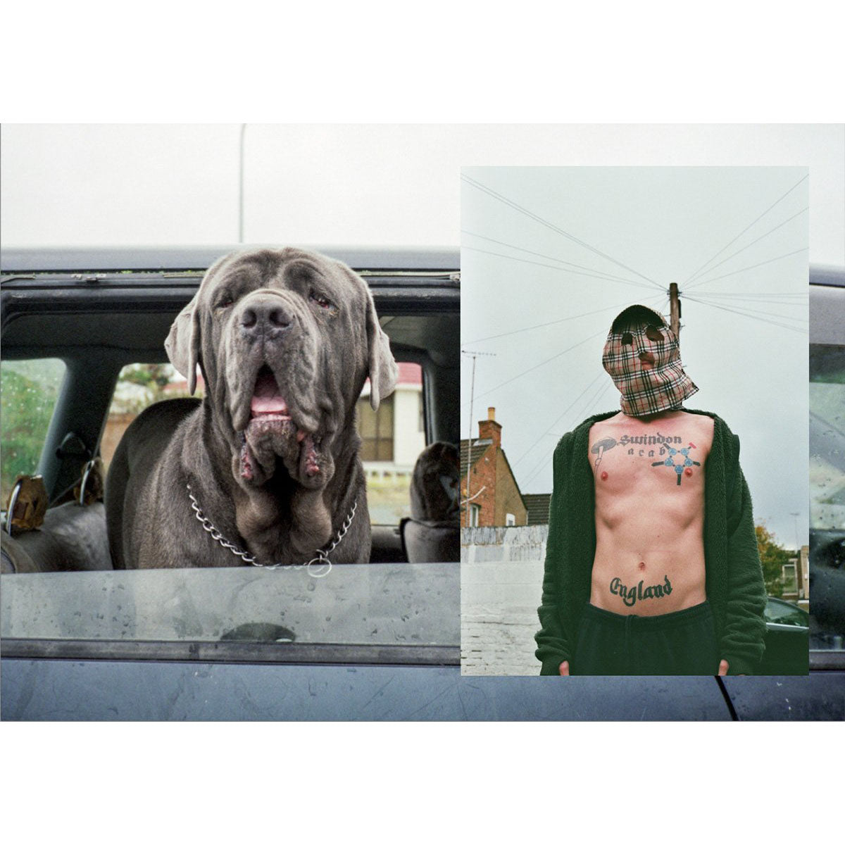 Analog Delinquents Magazine 10 - image 2