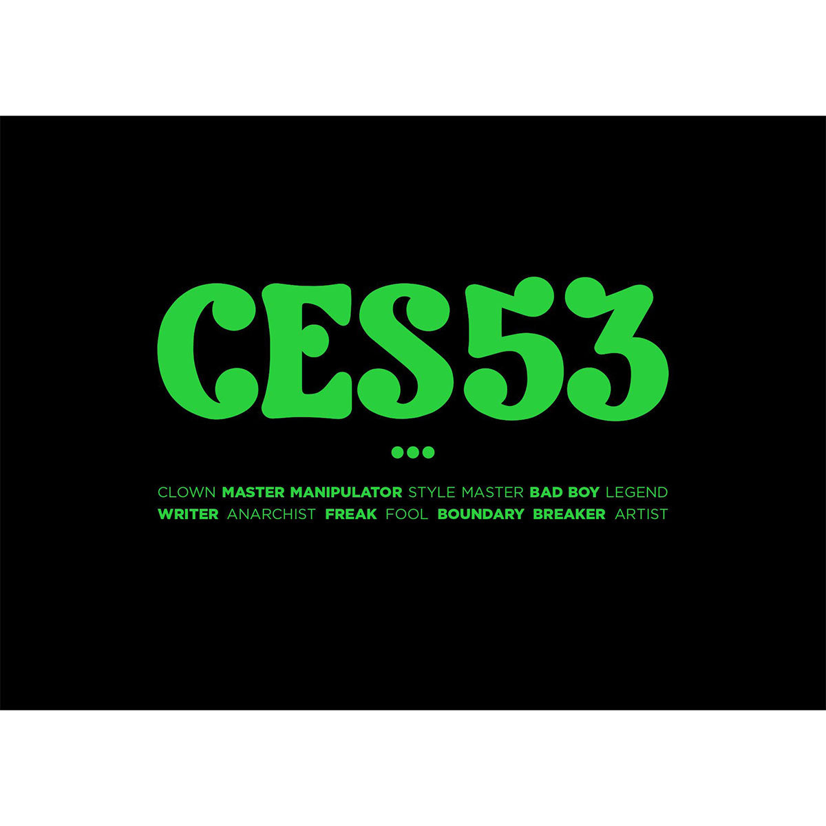 Ces53 - image 1