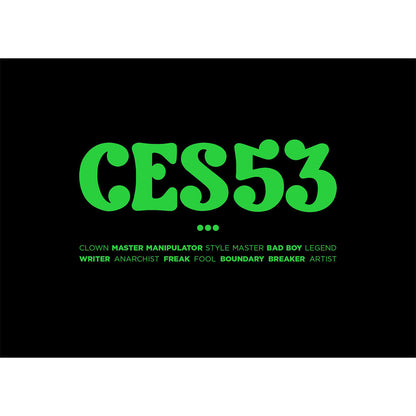 Ces53 - image 1