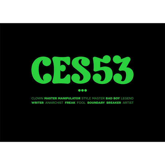 Ces53 - image 1