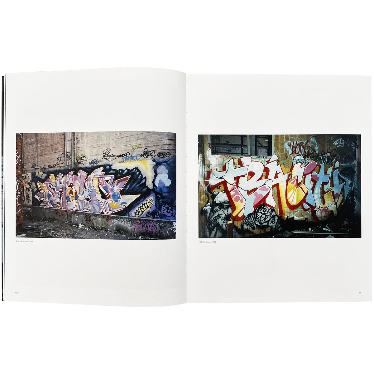 Dansk Graffiti 1984-2013 - image 2