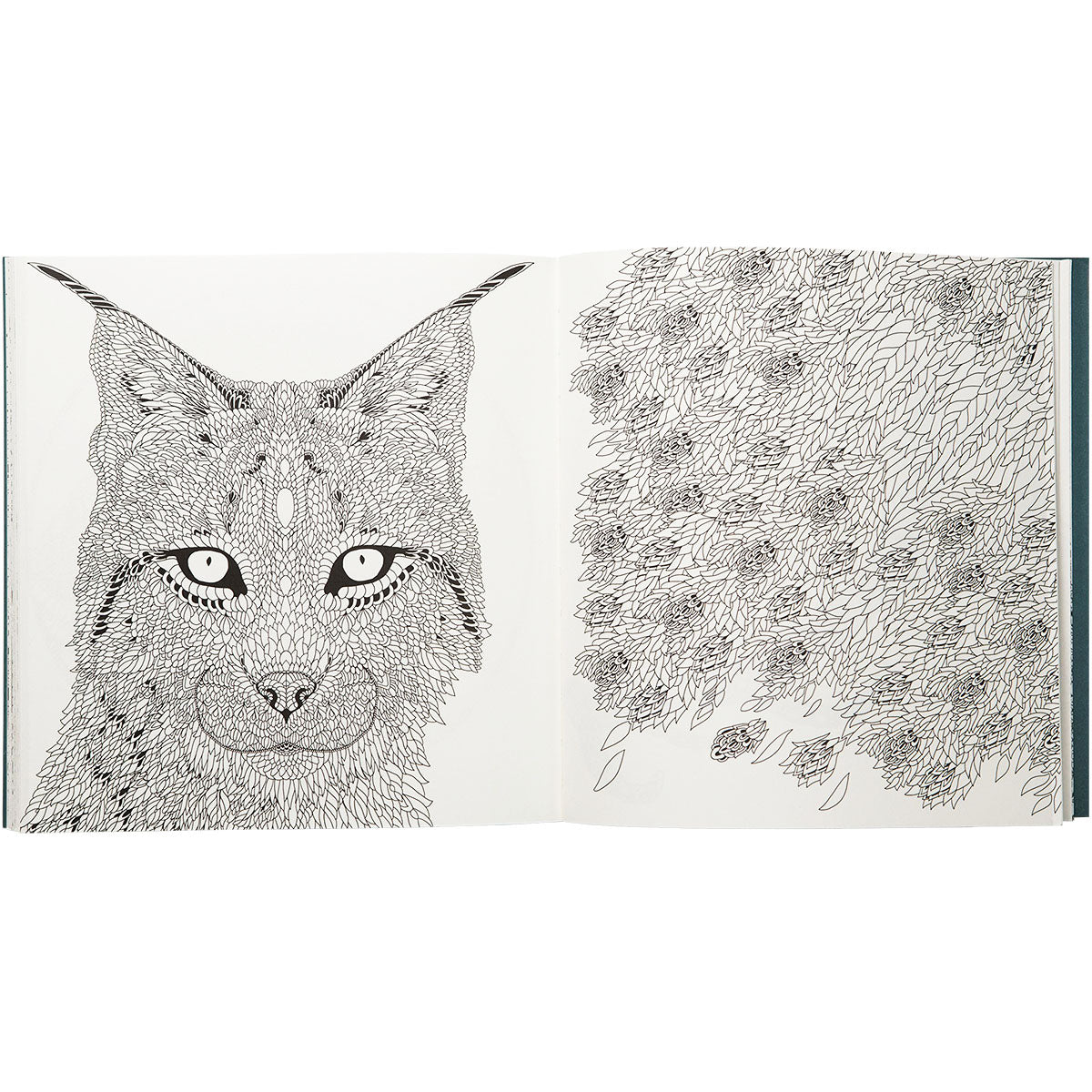 Nordic Wilderness A Colouring Book by Claire Scully - image 2