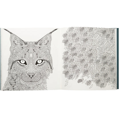 Nordic Wilderness A Colouring Book by Claire Scully - image 2