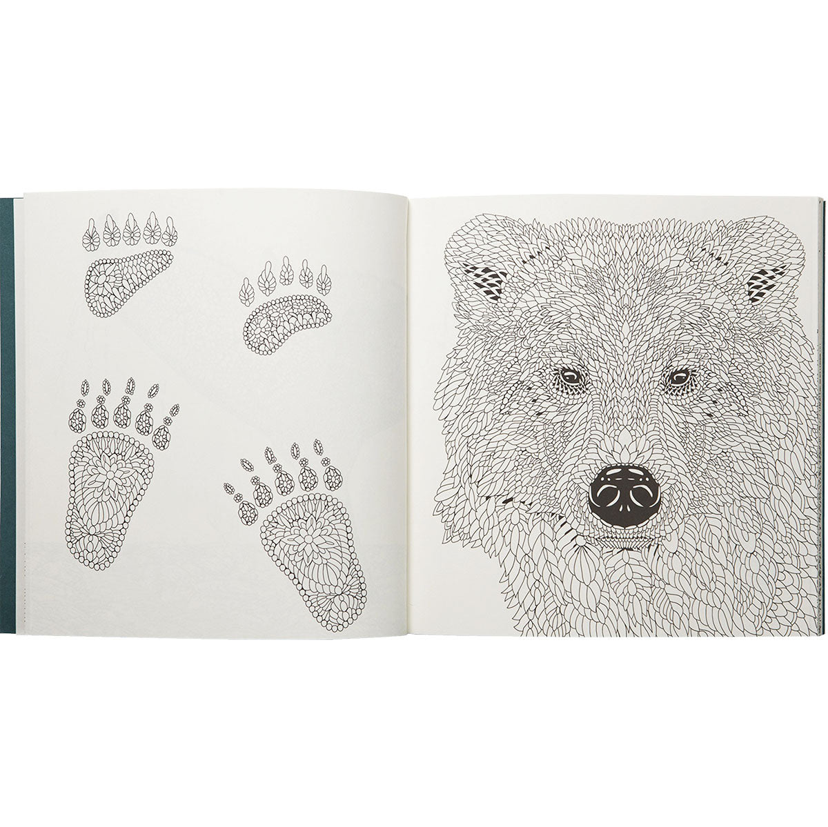 Nordic Wilderness A Colouring Book by Claire Scully - image 3