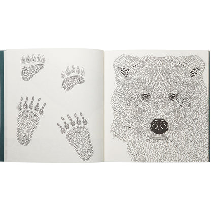 Nordic Wilderness A Colouring Book by Claire Scully - image 3