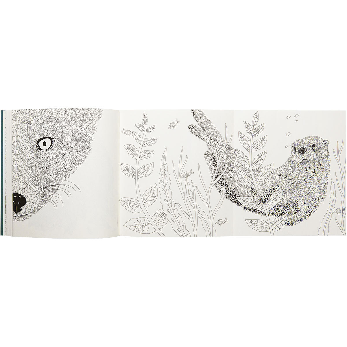 Nordic Wilderness A Colouring Book by Claire Scully - image 4