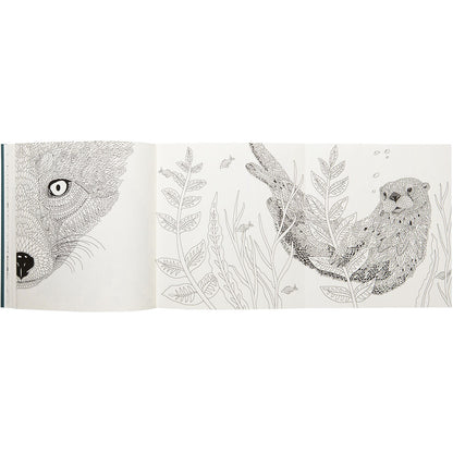 Nordic Wilderness A Colouring Book by Claire Scully - image 4