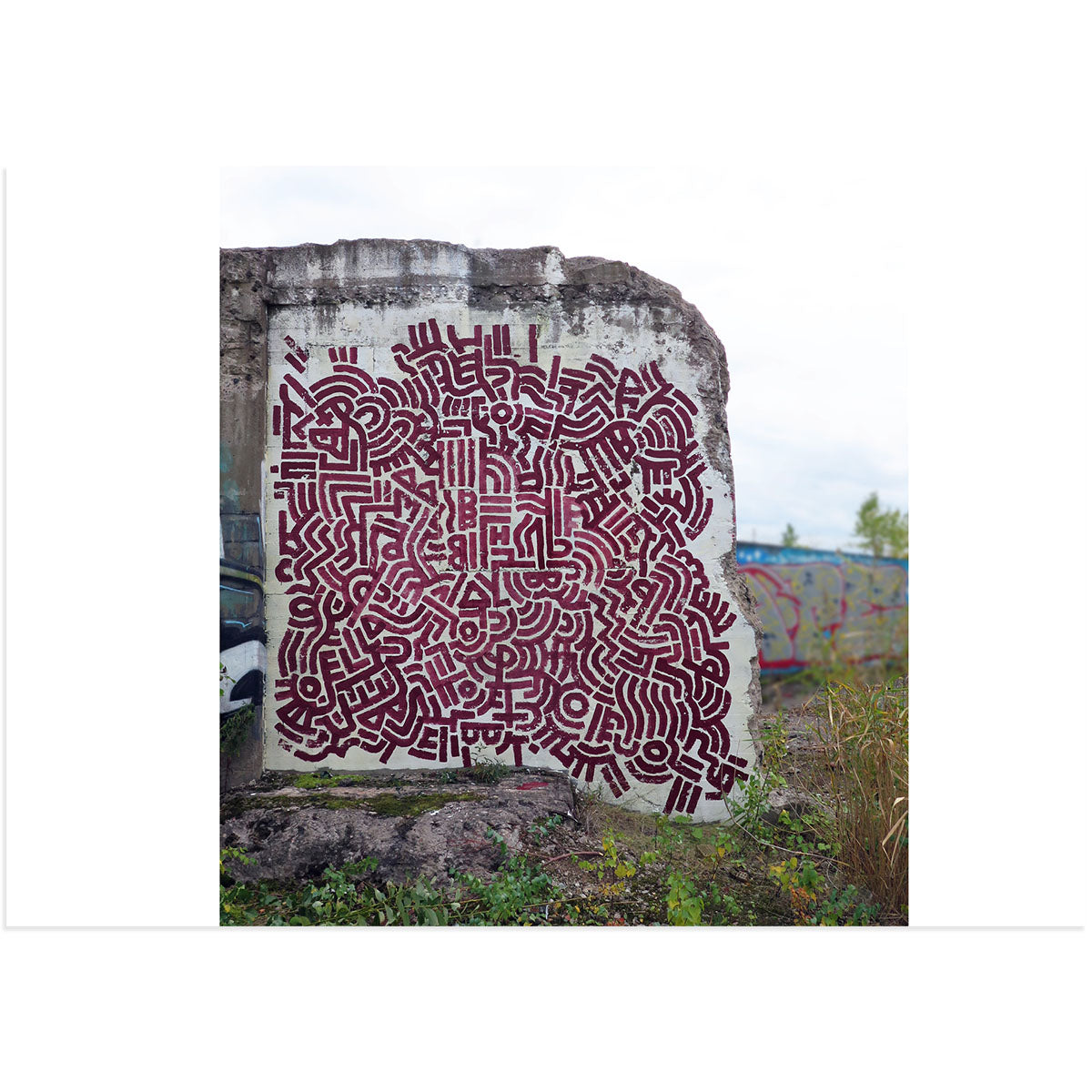 Ollio 2018-2019 - image 2