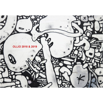 Ollio 2018-2019 - image 1