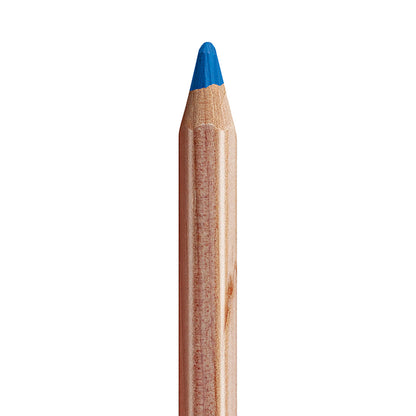 Caran d'Ache Pastel Coloured Pencils 40 Set - image 4