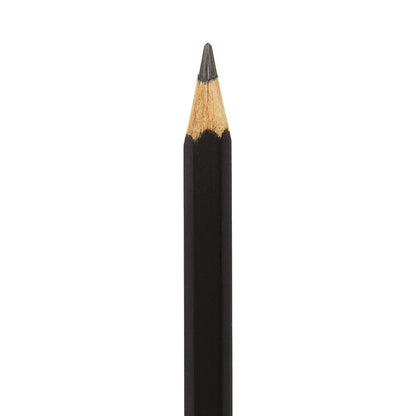 Caran d'Ache Technalo Water-Soluble Graphite Pencil - image 2