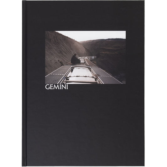 Gemini - image 1