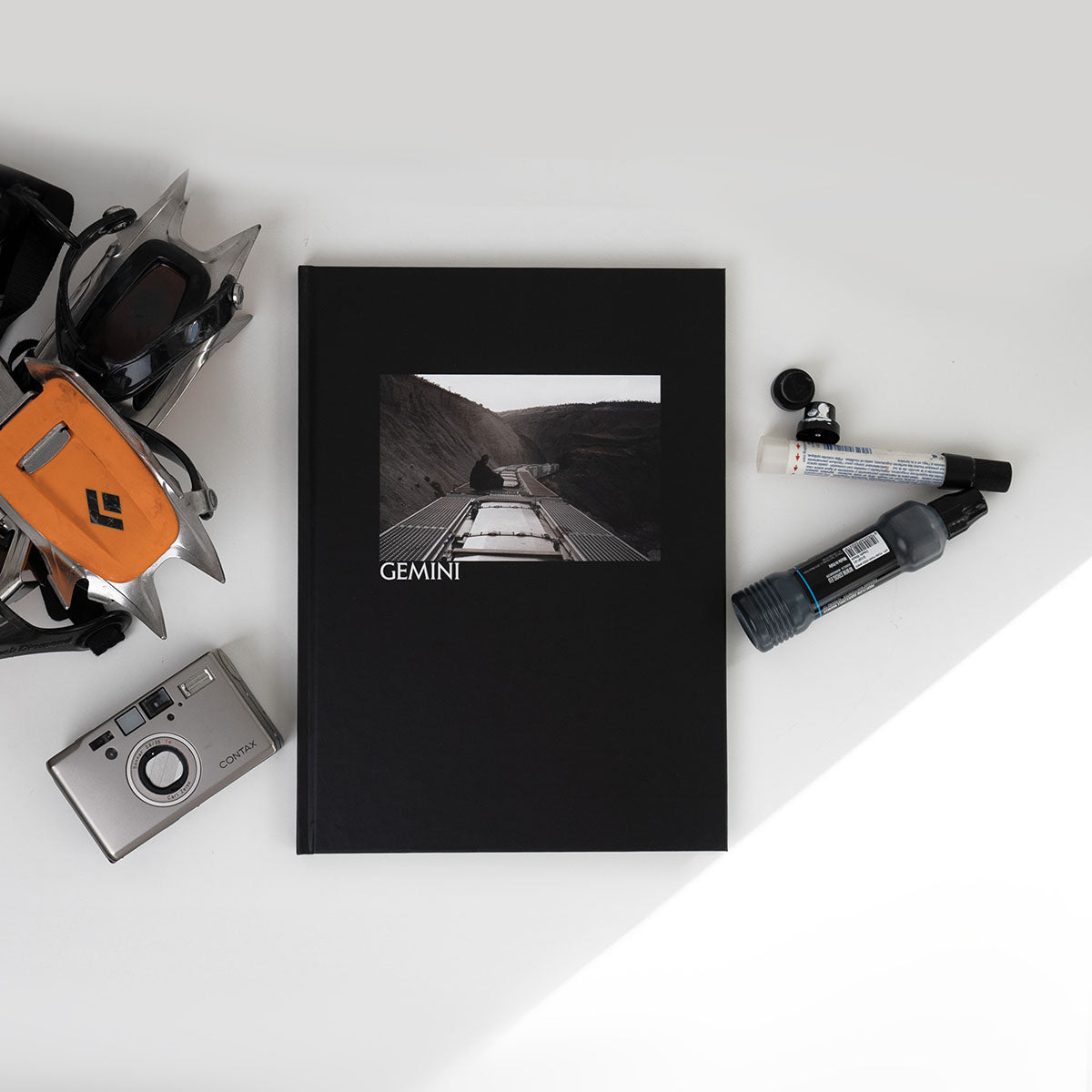 Gemini - image 2