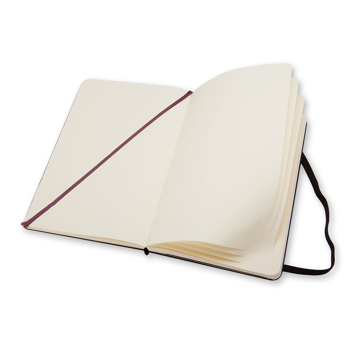 Moleskine Classic Large Notebook Hard Cover Plain - image 2