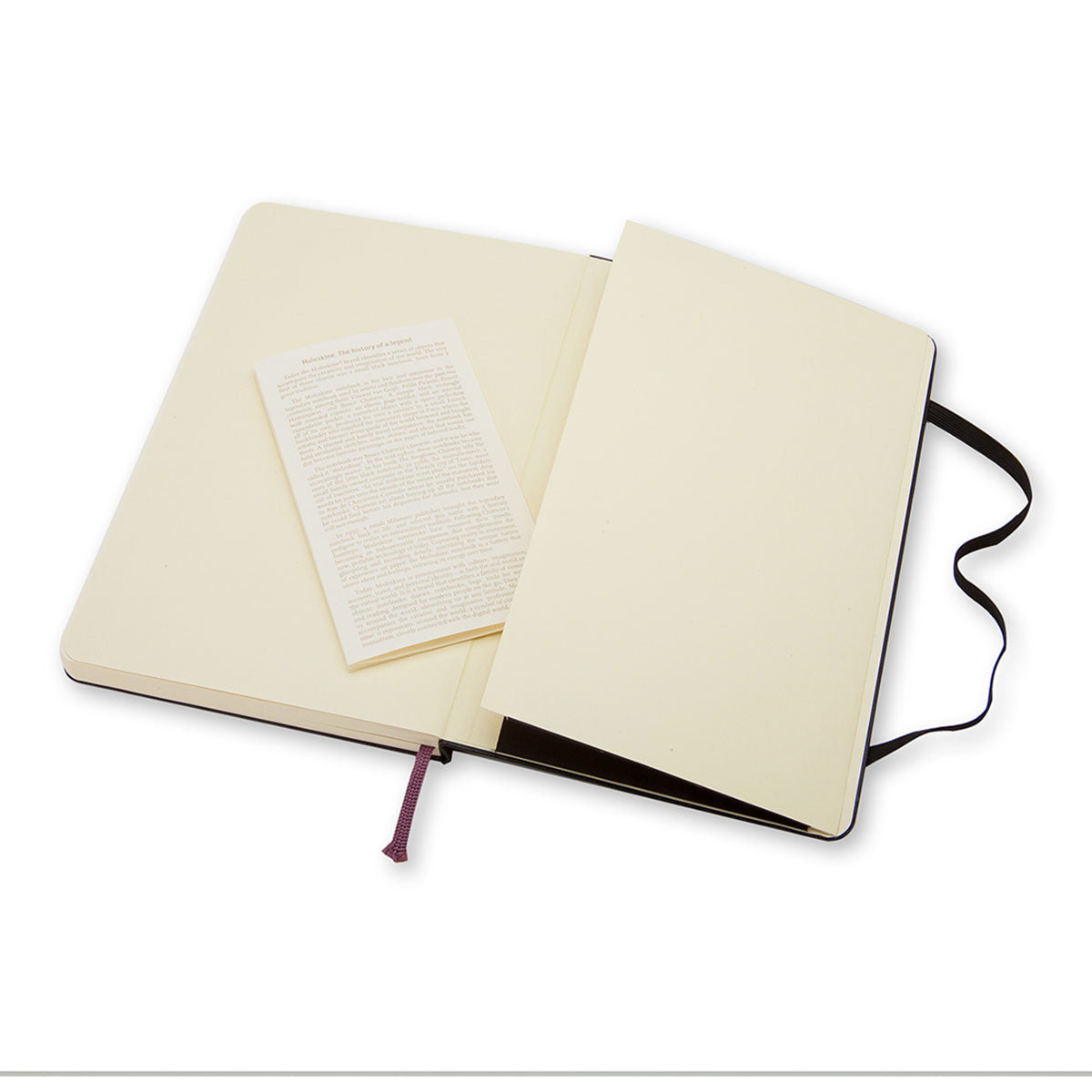 Moleskine Classic Large Notebook Hard Cover Plain - image 4