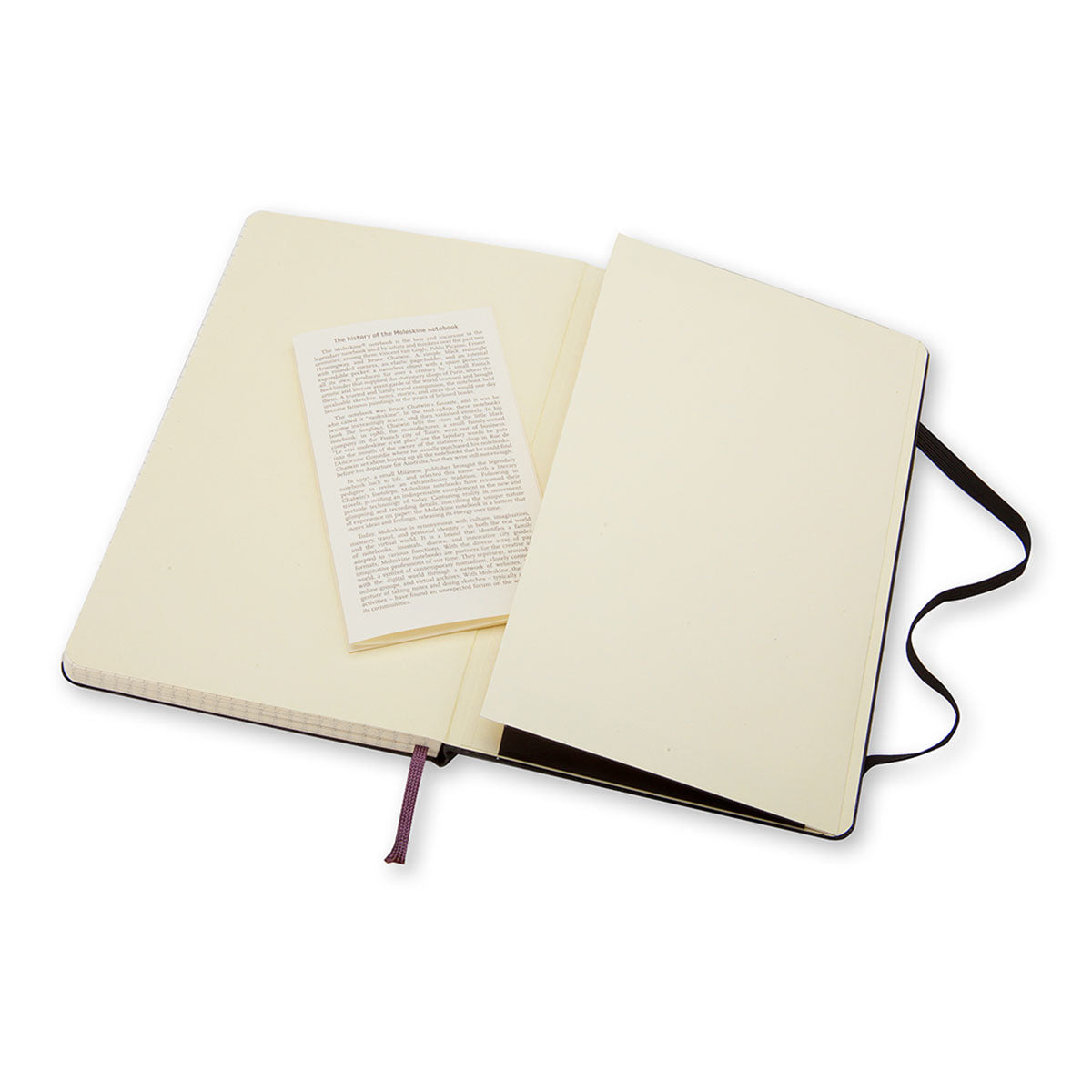 Moleskine Classic Large Notebook Hard Cover Squared - image 5