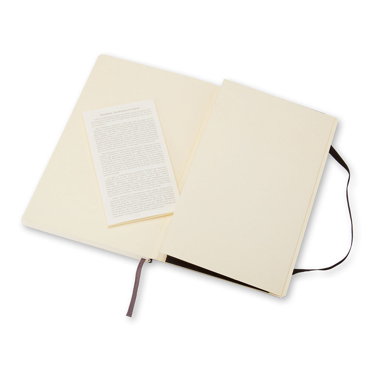 Moleskine Classic Large Notebook Soft Cover Plain - image 4