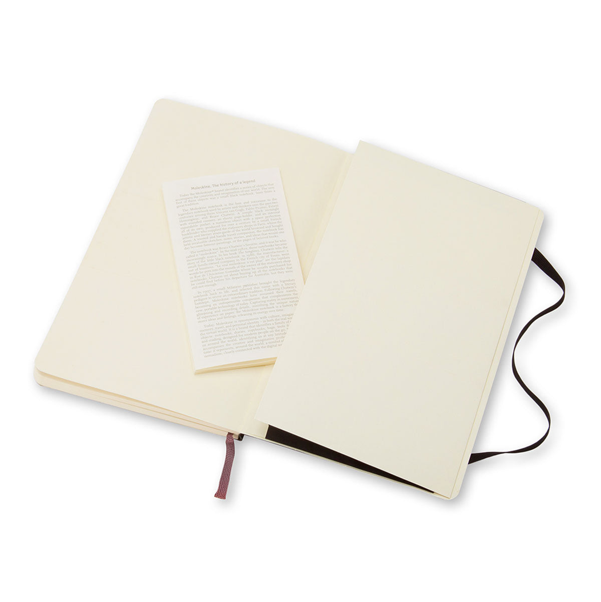 Moleskine Classic Large Notebook Soft Cover Ruled - image 4