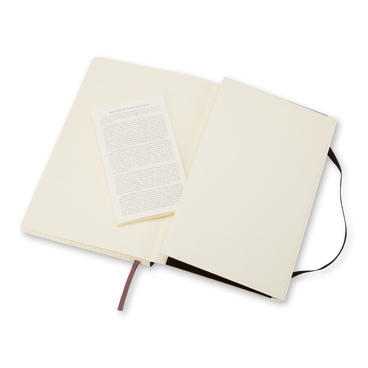 Moleskine Classic Large Notebook Soft Cover Squared - image 4