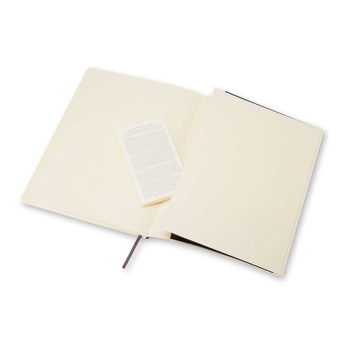 Moleskine Classic X-Large Notebook Soft Cover Squared - image 4