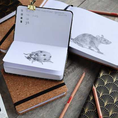 Talens Art Creation Graphite Pencil 12 Set